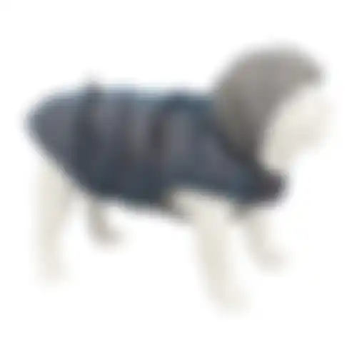 Jas hond Benji