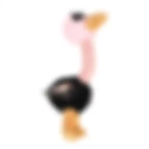 Speelgoed hond pluche struisvogel 21cm