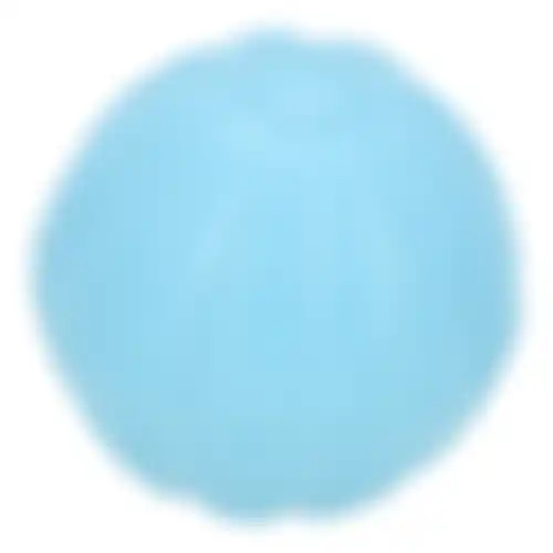 Hondenspeelgoed apporteerbal drijf 7cm Friendly Pet