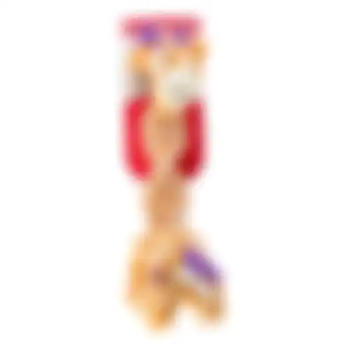 Speelgoed hond knots twist asst M/L Kong