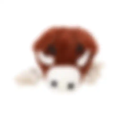Speelgoed hond pluche everzwijn