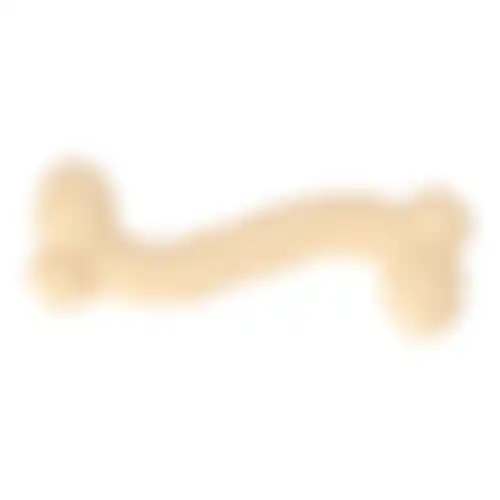 Speelgoed hond nylon bone 14cm FP