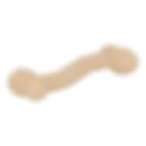 Speelgoed hond nylon bone 17cm FP