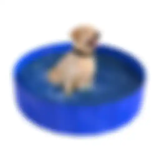 Zwembad hond blauw