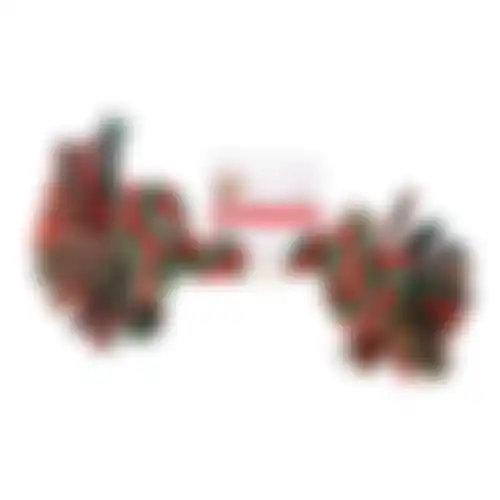 Touw hond kleur 2 knopen x-large FP