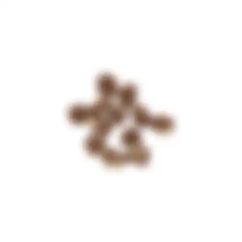 Snack knoopbeen lam+rijst 6st S