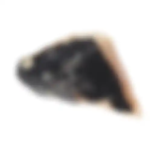 Snack hond kalfshoef druivensuiker