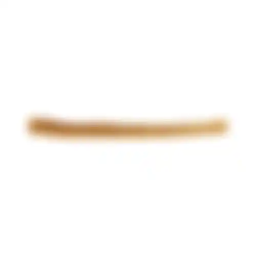 Snack H nature varkensrol 50cm 1st