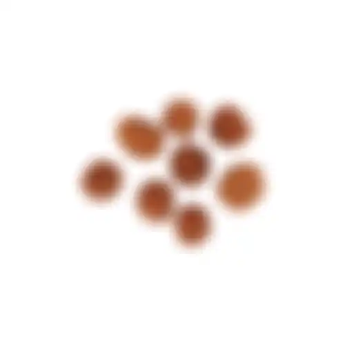 Snack hond chickn+rice balls 80G