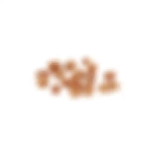 Snack hond chickn cubes 80G