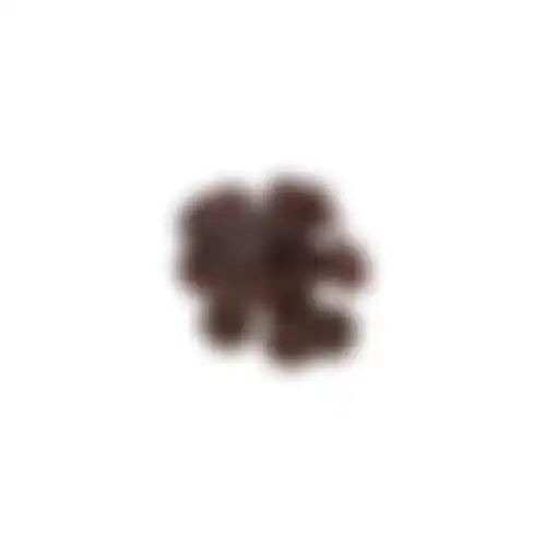Snack hond lam coins 85G