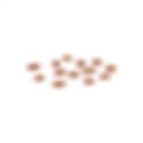 Snack hond eend+rijst bites 85G