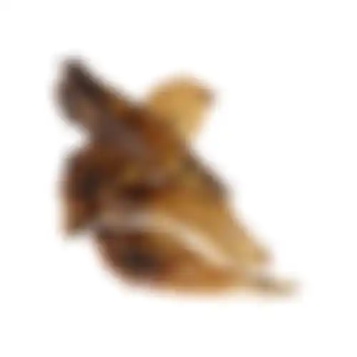 Snack hond runderoor+schelp 9st