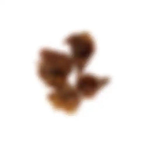 Snack hond varkensoor schelp 250g