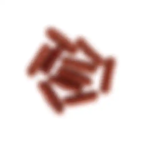 Hondensnack worst eend 100gr