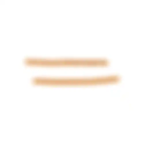 Snack hond stick zalm 85g
