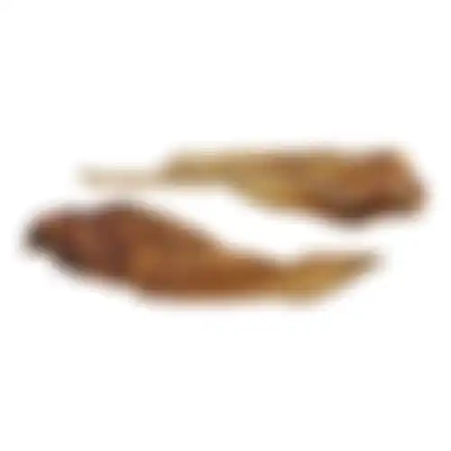 Snack hond runderoor+schelp 9st