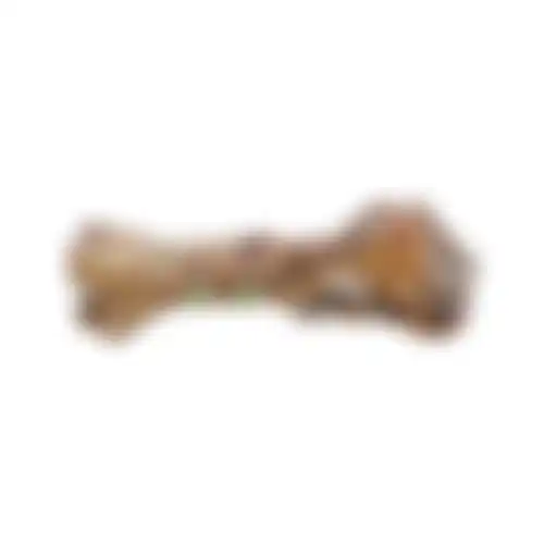 Snack hond rund dinobot medium