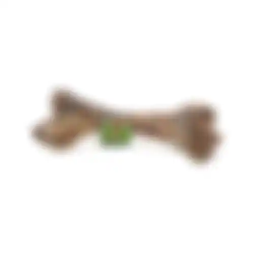 Snack hond rund dinobot large