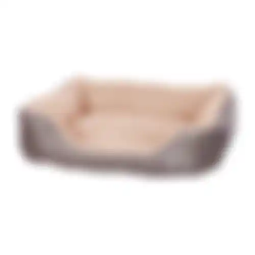 Mand Huisdier Sammy