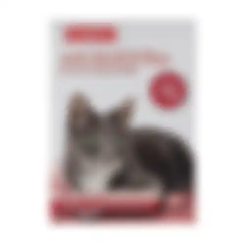 Wormmiddel Milquestra kat 12kg Beaphar