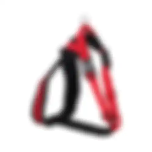 Harnas Palos L rood 64-80cm