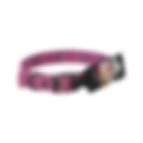 Halsb hond stripes pink 20mm x 46cm