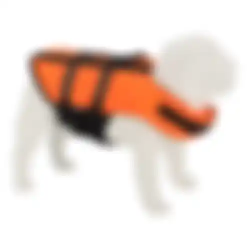 Zwemvest hond