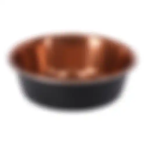 Voerbak Ezra rvs zwart/koper D11,8cm 300ml FP