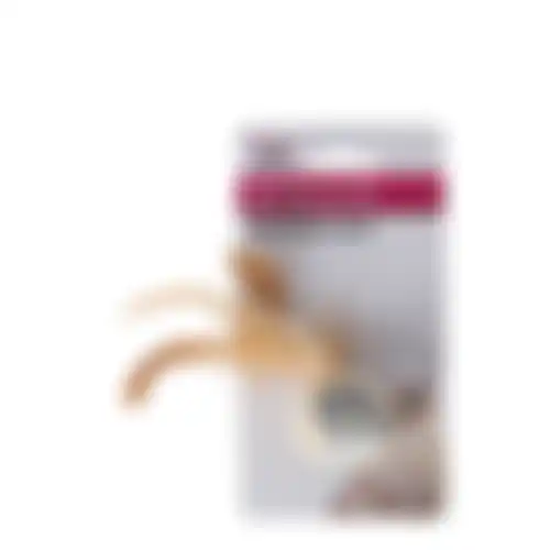 Kattenspeeltje bal+veer 5cm FP