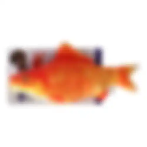 Speelgoed kat bewegende vis Flounder 30cm