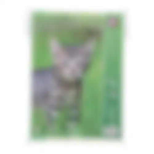 Kattenbakzak 10St