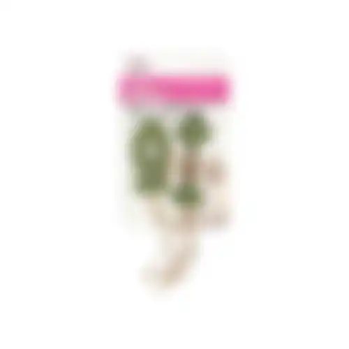 Speelgoed kat visje+catnip 16cm 2st FP
