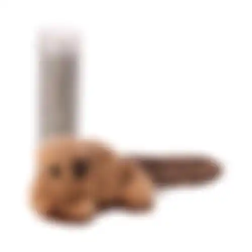 Speelgoed kat kong catnip bever