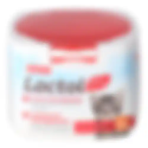 Lactol kitten milk 250g Beaphar
