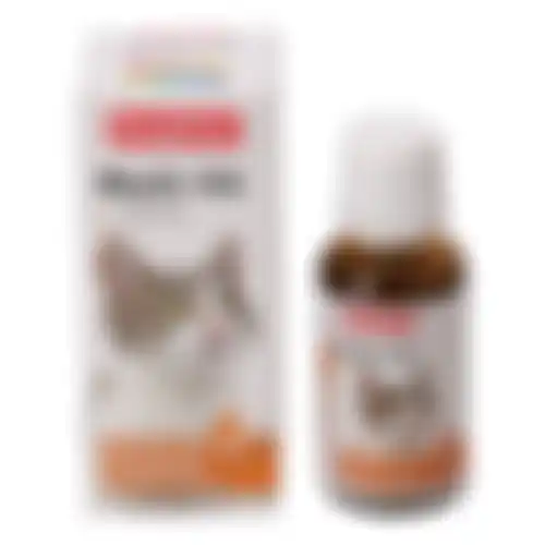 Lavita kat 20ml Beaphar
