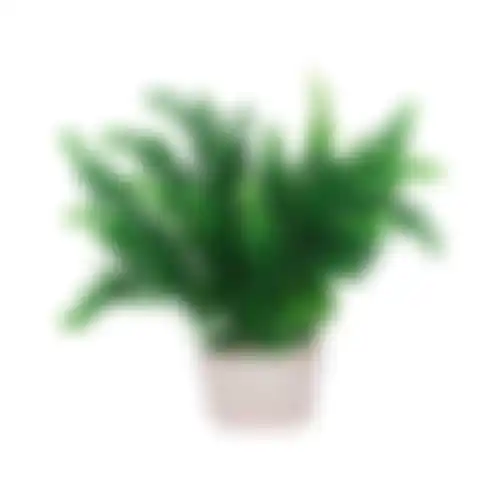 Plant aquarium plastic asssorti S
