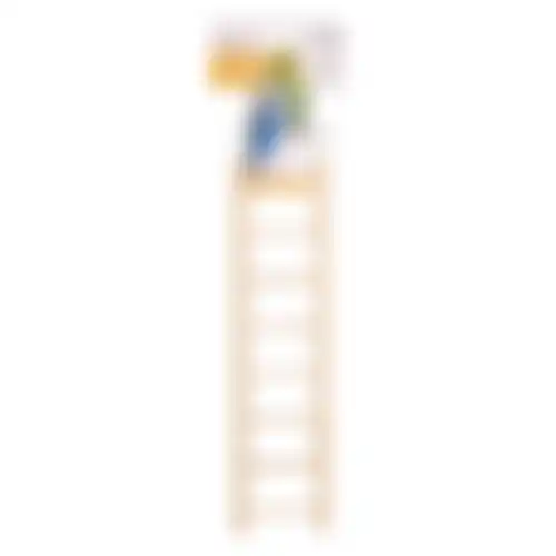 Houten ladder Escada 8 tr