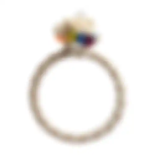 Kooihanger ring Adimo D27cm FP