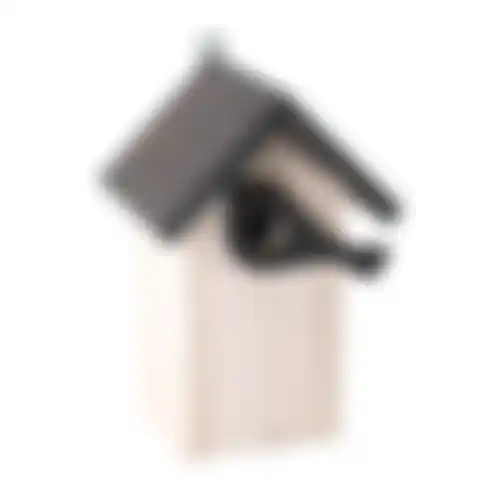 Vogelhuis sijs wit