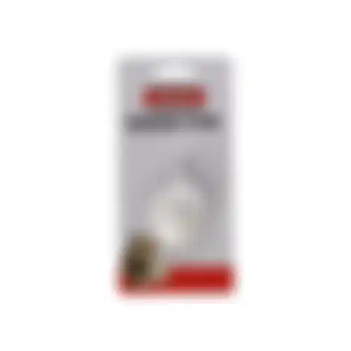 Knaagsteen aardbei 25g