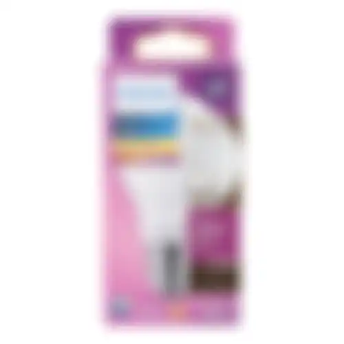 Lamp LED peer mat 25W E27 Philips