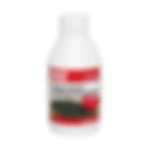 HG natuursteen toplaag hersteller 0.25L NL