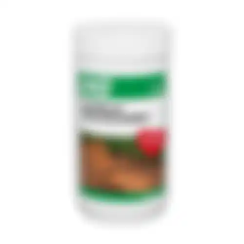 HG hardhout kleurhersteller 0.75L NL