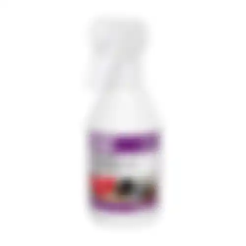 HG schoendeo 0.25L BE