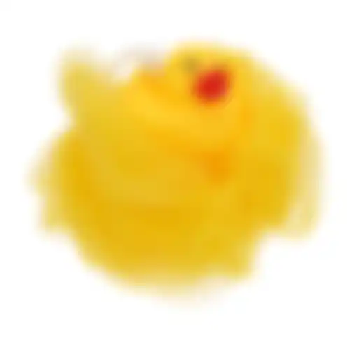Badspons