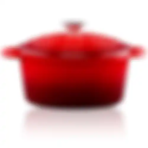 Braadpan gietijzer 24cm 3,8L Alpina