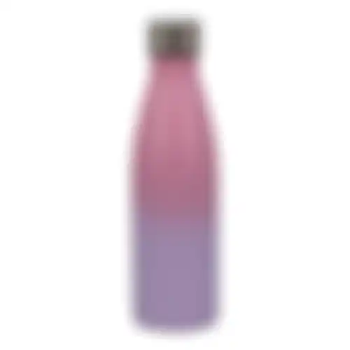 Waterfles RVS Rainbow purple pink