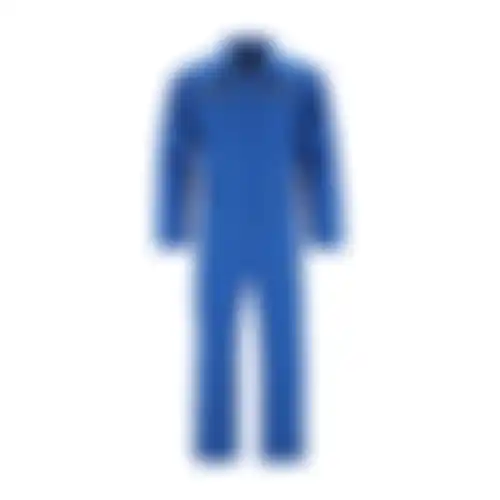Rallyoverall Blauw
