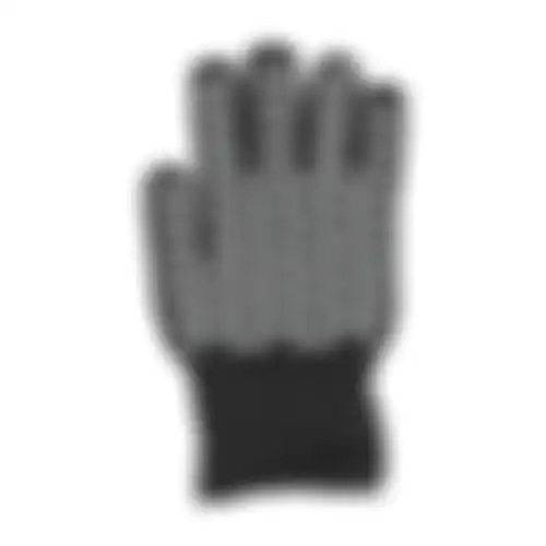 Handschoen barbecue